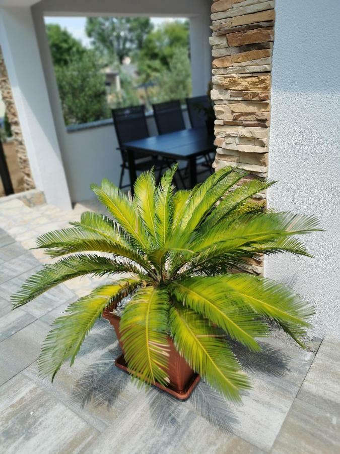 Vila Jolly